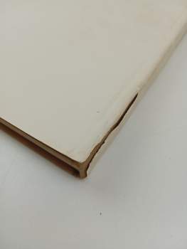 Vítězslav Nezval: Antonín Slavíček, ein grosser tschechischer Maler