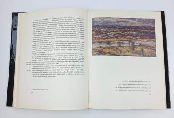 Jan Marius Tomeš: Antonín Slavíček