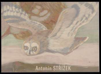 Antonín Střížek