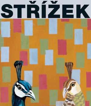 Antonín Střížek