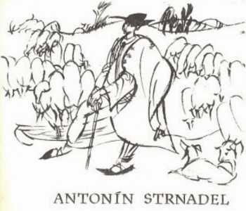 Antonín Strnadel