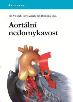Aortální nedomykavost