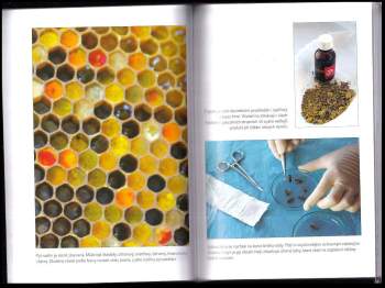 Štefan Demeter: Apiterapie