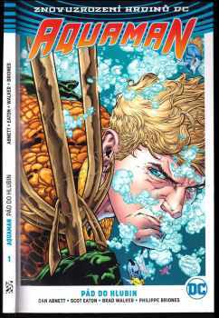 Aquaman : Kniha první - Pád do hlubin - Dan Abnett (2018, BB art) - ID: 2040105