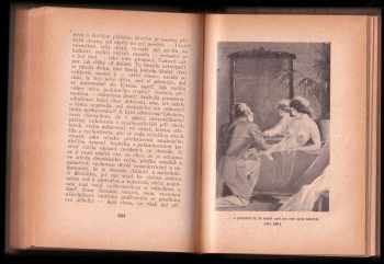 Karl Herloßsohn: Arabella čili Tajemství dvorního divadla - román z let čtyřicátých 19 století.