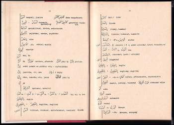 Luboš Kropáček: Arabsko/český česko/arabský slovník
