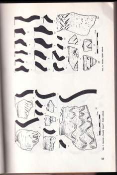 Archaeologia historica