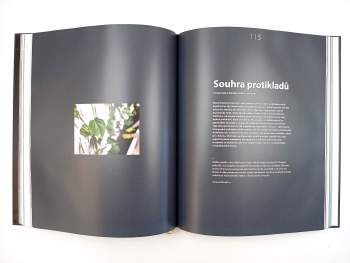 Matej Šišolák: Architekti 2
