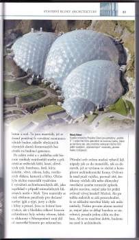 Jonathan Glancey: Architektura