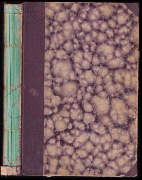 Ardistanem do Džinistanu - Díl I - dobrodružný román