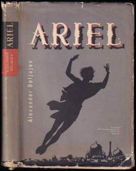 Ariel
