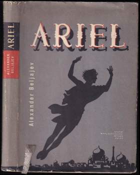 Ariel