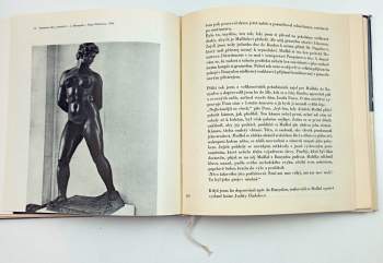Aristide Maillol: Aristide Maillol