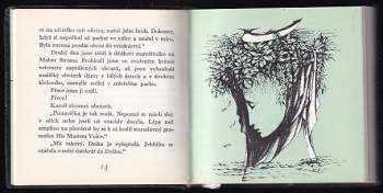 Emilie Bednářová: Arkány vzpomínek