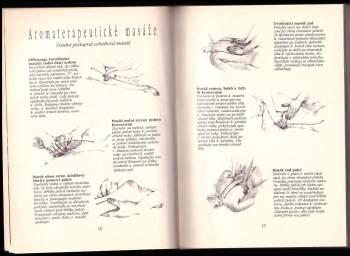 Gabriel Mojay: Aromaterapie pro léčení duše