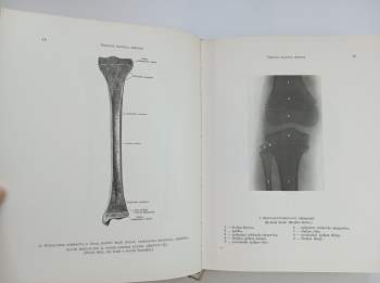Rafail Davidovič Sinel'nikov: Atlas anatomie člověka 1 - 3