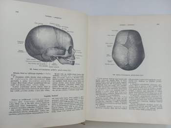 Rafail Davidovič Sinel'nikov: Atlas anatomie člověka 1 - 3
