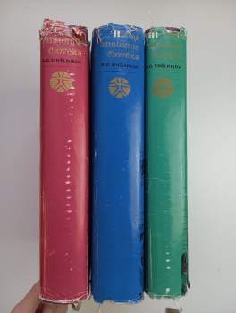 Atlas anatomie člověka 1 - 3