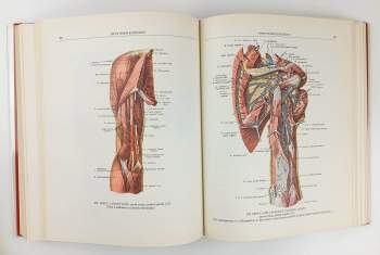 Rafail Davidovič Sinel'nikov: Atlas anatomie člověka