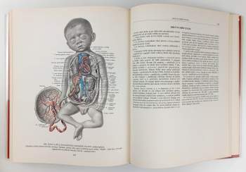 Rafail Davidovič Sinel'nikov: Atlas anatomie člověka