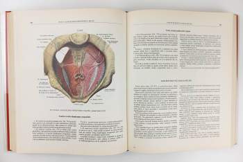 Rafail Davidovič Sinel'nikov: Atlas anatomie člověka