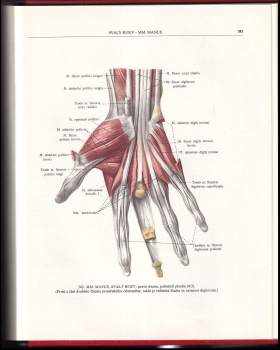 Rafail Davidovič Sinel'nikov: Atlas anatomie člověka