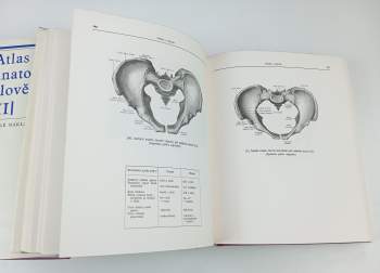 Rafail Davidovič Sinel'nikov: Atlas anatomie člověka