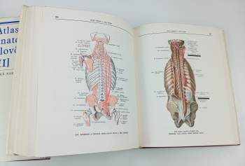 Rafail Davidovič Sinel'nikov: Atlas anatomie člověka