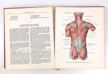 Rafail Davidovič Sinel'nikov: Atlas anatomie člověka