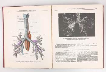 Rafail Davidovič Sinel'nikov: Atlas anatomie člověka