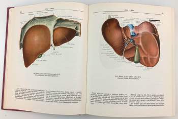 Rafail Davidovič Sinel'nikov: Atlas anatomie člověka