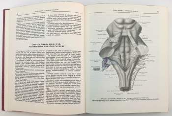 Rafail Davidovič Sinel'nikov: Atlas anatomie člověka