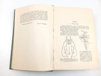 František Klapálek: Atlas brouků středoevropských