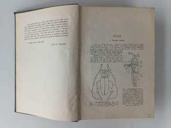 František Klapálek: Atlas brouků středoevropských