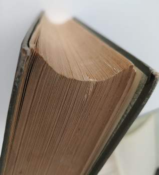 František Klapálek: Atlas brouků středoevropských