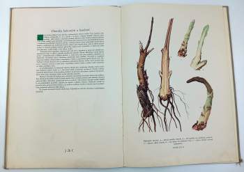 Jan Melichar: Atlas chorob a škůdců kulturních rostlin