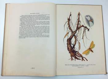 Jan Melichar: Atlas chorob a škůdců kulturních rostlin