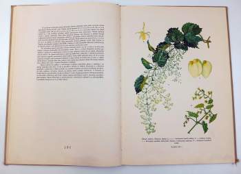 Jan Melichar: Atlas chorob a škůdců kulturních rostlin