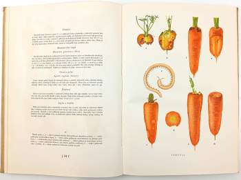 Bohumil Starý: Atlas chorob a škůdců kulturních rostlin