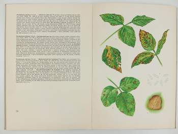 František Brückner: Atlas chorob a škůdců kulturních rostlin