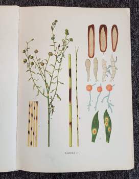 Karel Rataj: Atlas chorob a škůdců kulturních rostlin