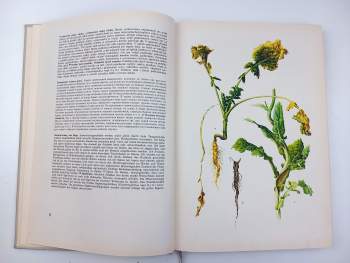 Josef Šedivý: Atlas chorob a škůdců olejnin