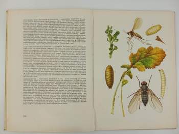 Josef Šedivý: Atlas chorob a škůdců olejnin