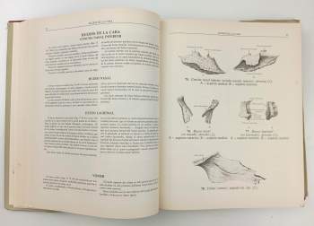 R. D Sinělnikov: Atlas de anatomia humana