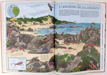 Rachel Williams: Atlas dobrodružství