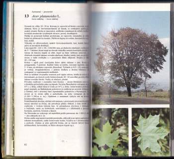 Dušan Randuška: Atlas drevín