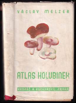 Atlas holubinek