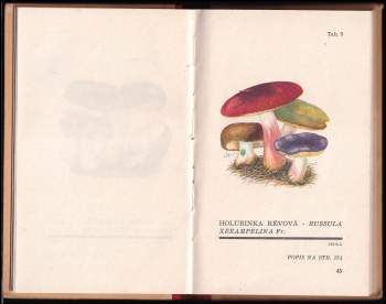 Václav Melzer: Atlas holubinek