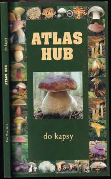 Atlas hub