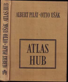 Atlas hub